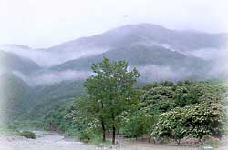 명지산 풍경