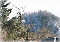 백덕산 풍경