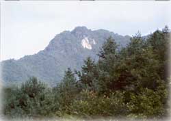 백운산(정선) 풍경