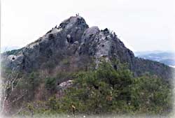 선운산 풍경