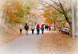 소요산 풍경