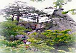 오봉산 풍경