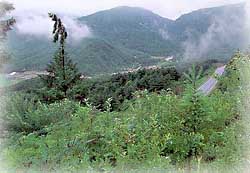 유명산 풍경