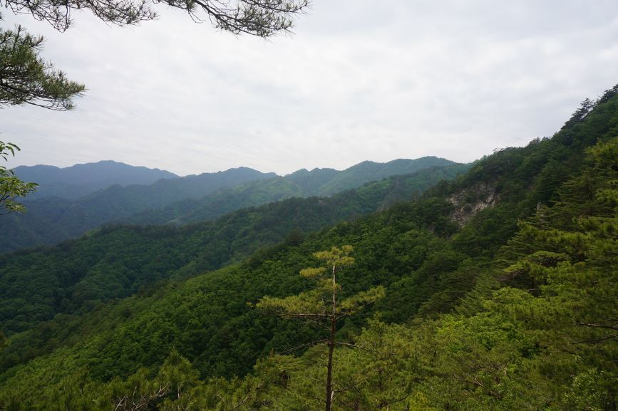 응봉산 풍경
