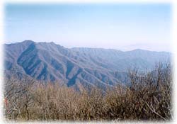 장안산 풍경