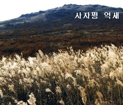 재약산 풍경