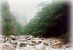 점봉산 풍경
