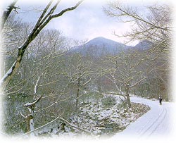조계산 풍경