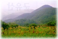 태화산 풍경