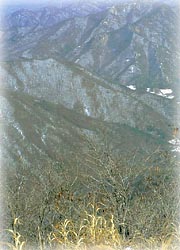 황장산 풍경