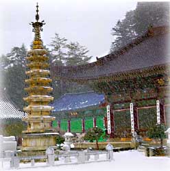 오대산 풍경