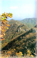 팔공산 풍경